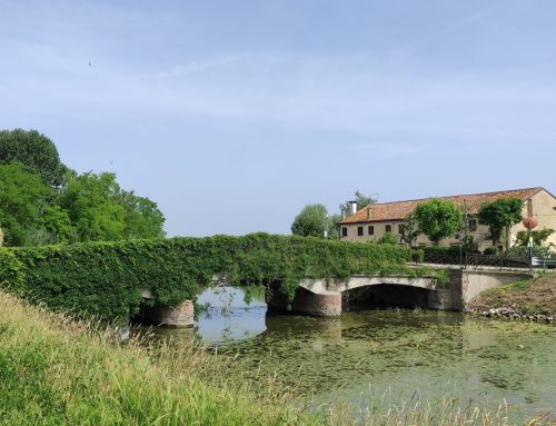 New road bridge – Loreo (RO), Italy